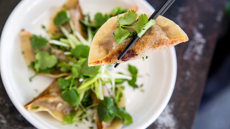 A potsticker held by chopsticks