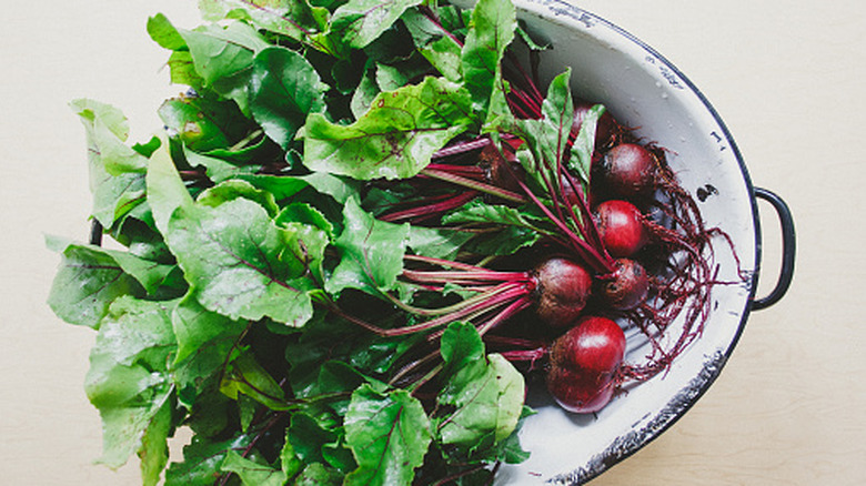 A bunch of beets in a bowl with the greens attached.