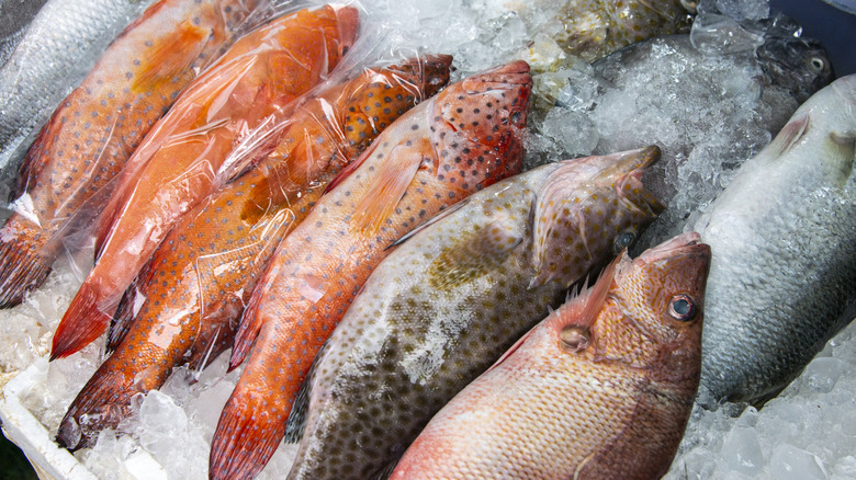 A display of fresh fish on ice.