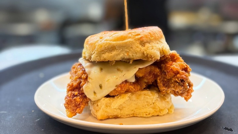 A fried chicken biscuit sandwich on a plate at Bomb Biscuit Co.