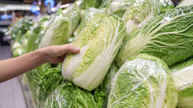 A close up of person picking up napa cabbage at the grocery store