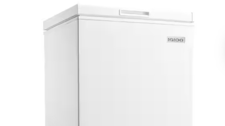 Igloo (21 in. 3.5 Cu.)