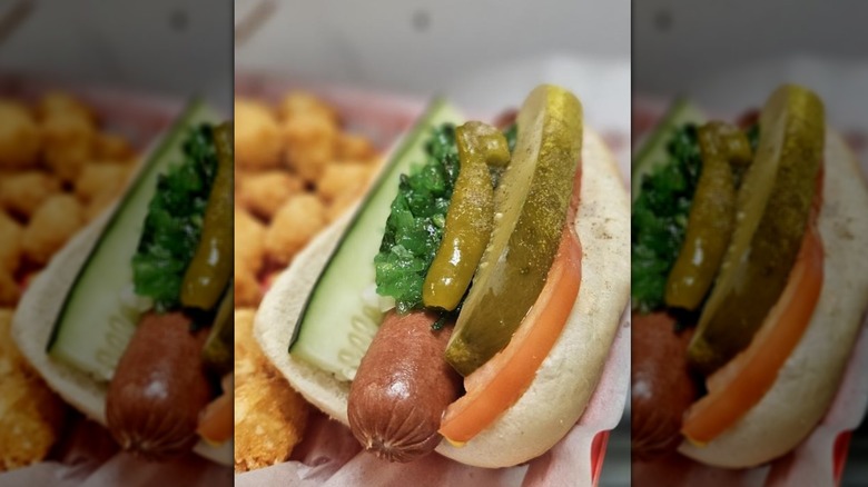A Chicago style hot dog from Flub A Dub Chub's with tator tots in the background