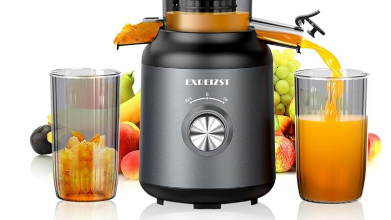 Various fruits in EXREIZST Juicer