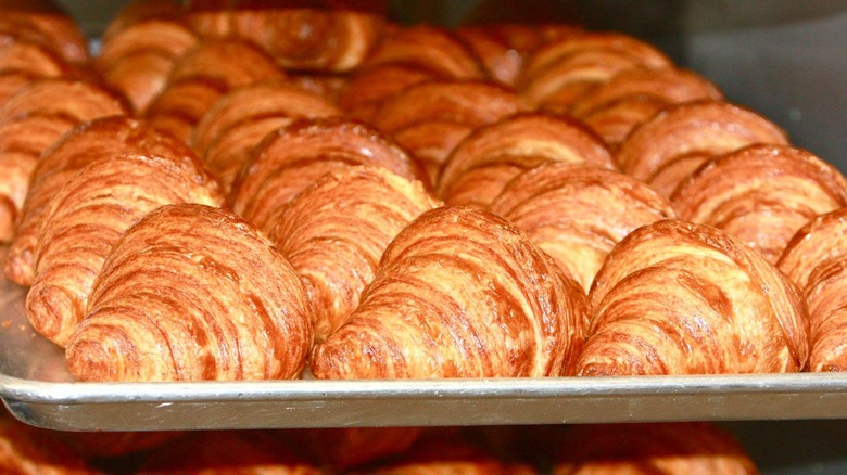 a tray of golden croissants at Arsicault in San Francisco