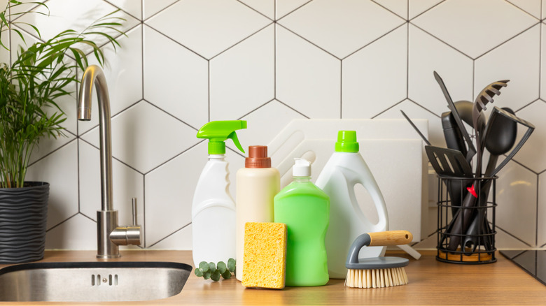 Selection of cleaning products beside the kitchen sink