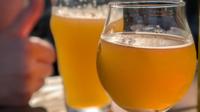 Two glasses of IPA sit on a table
