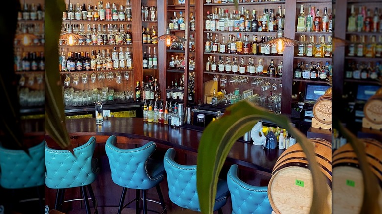 A fully stocked bar with bright teal bar chairs