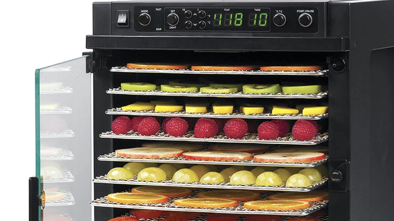 Black dehydrator with a door open