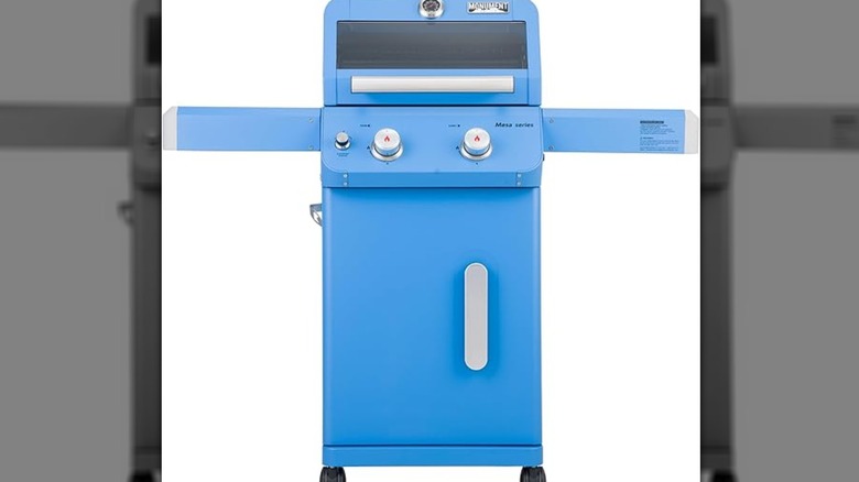 2-Burner Stainless Steel Liquid Propane Gas Patio Garden Barbecue Grill with Clearview® Lid