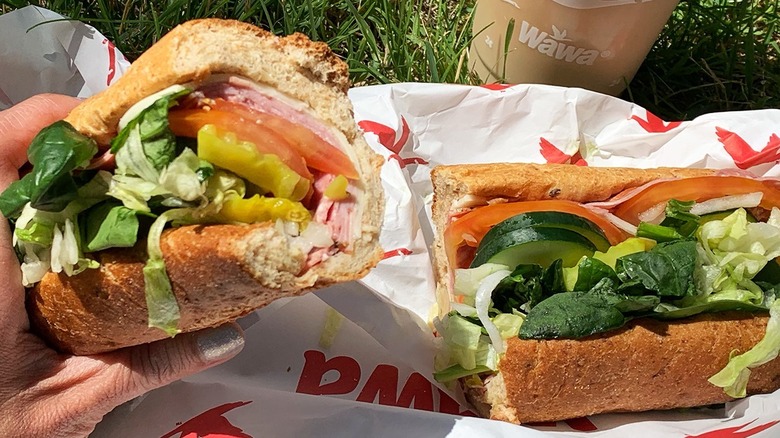 Wawa hoagie with grass in background