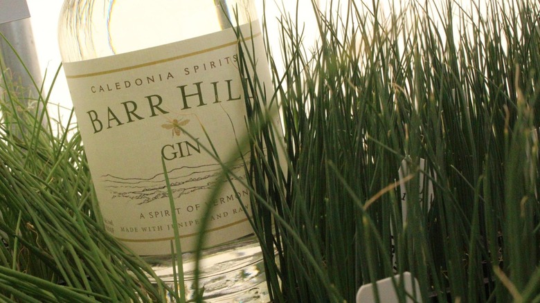 Bottle of Barr Hill Gin in a patch of long grass