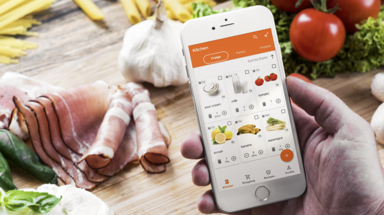 Person looking at KitchenPal app on phone