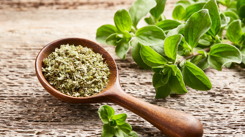 Fresh and dried oregano in a wooden spoon