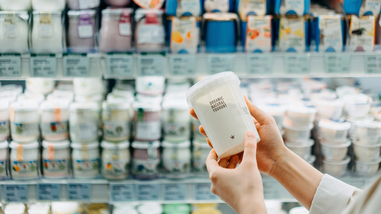 Shopping for yogurt in dairy aisle