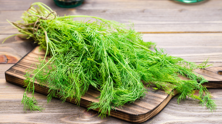 Fresh dill on a cutting board