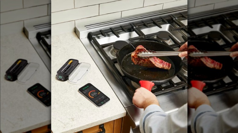 Costco Chef iQ Smart Thermometer and Hub, 2-probe Set