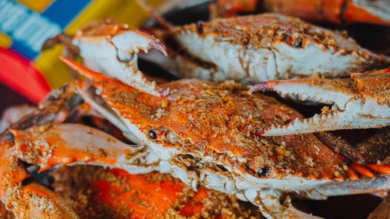 A platter of steamed and seasoned blue crabs with Old Bay in the background