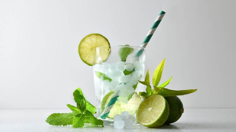 A creative shot of a glass of a mojito, with its ingredients highlighted next to it