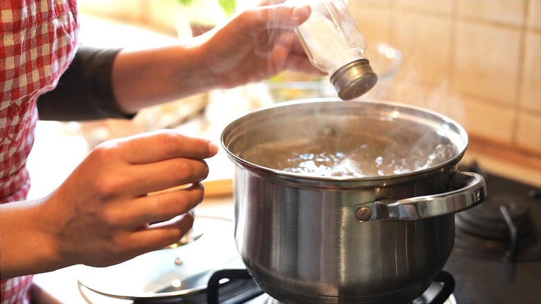 Hand adding salt from a salt shaker into a stainless steal pot of boiling water over a stove
