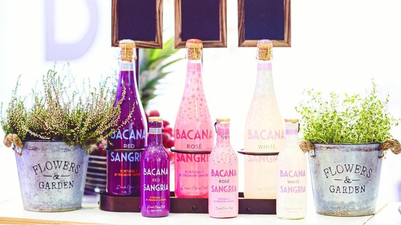 Different Bacana Sangrias with pots of greenery