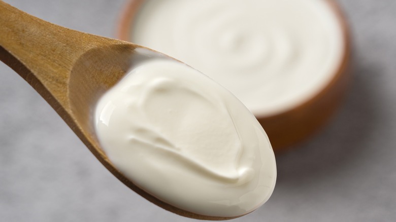 Greek yogurt on a wooden spoon with small wooden bowl of yogurt in background.