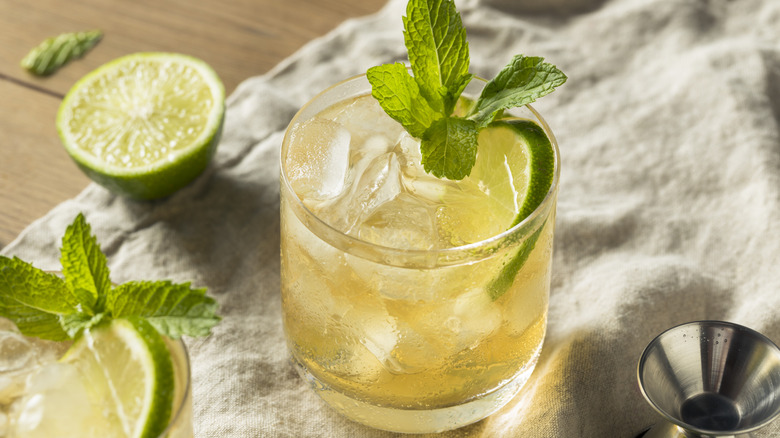 A rocks glass of ginger beer with lime and a fresh mint garnish