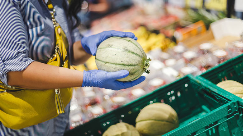 A person inspecting a cantaloupe.