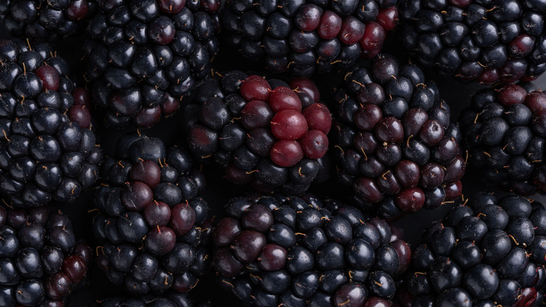 close up shot of blackberries on a table