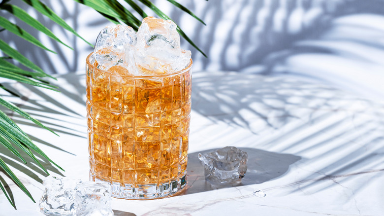 Add This Soda To Blackberry Jack Daniel's For A 2-Ingredient Cocktail Worth Sipping