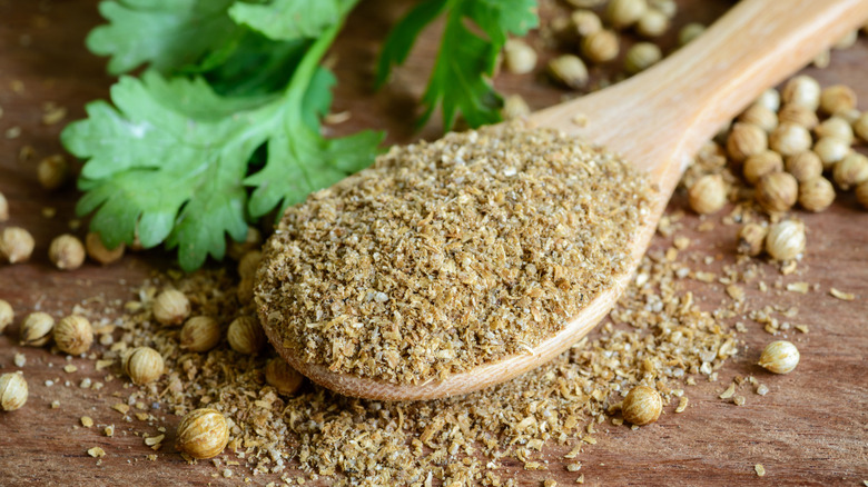 powdered coriander in a spoon