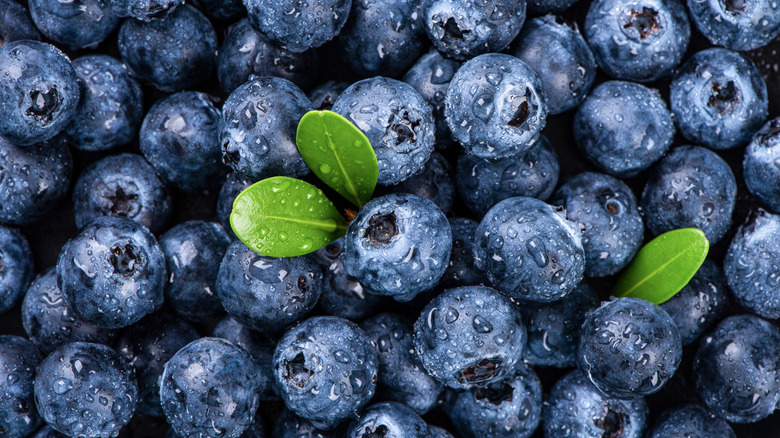 Fresh blueberries.