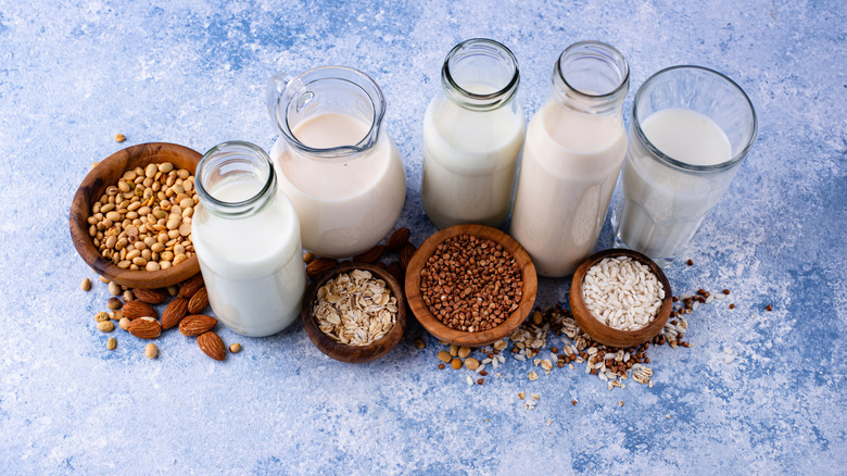 An array of plant-based milks in glass jars