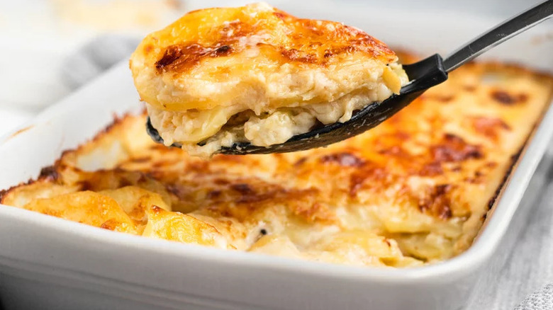 Baking dish of cheesy scalloped potatoes with a spoon scooping out a serving