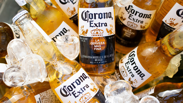 Bottles of Corona beer bottles in an ice bucket.