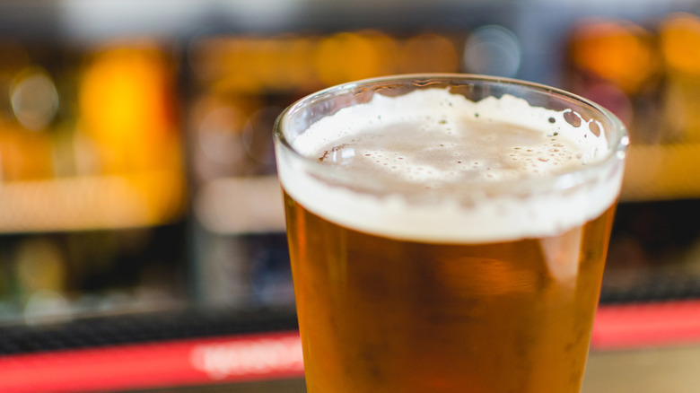 A golden beer in a glass with a small amount of frothy head at the top against a blurred background