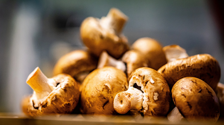 A fresh pile of earthy cremini mushrooms on a wooden surface.