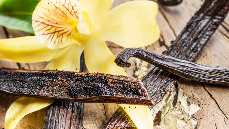 Vanilla bean pods and a vanilla orchid