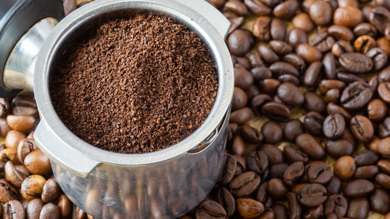 Coffee grounds in a portafilter with whole coffee beans in the background.