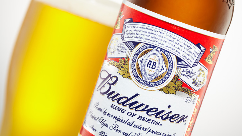 Budweiser bottle with glass
