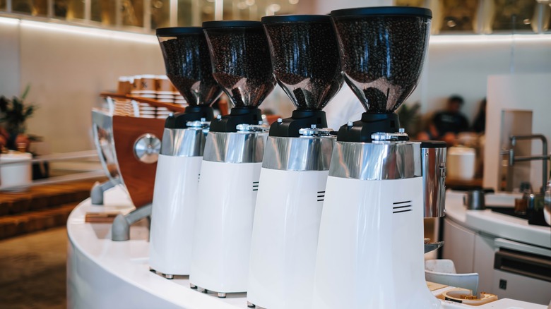 Several burr coffee grinders in a cafe