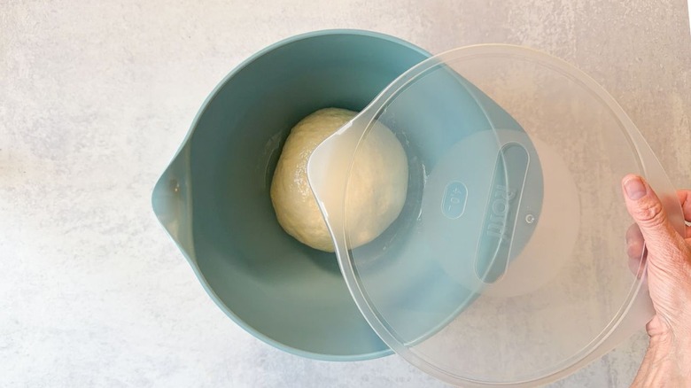 Covering pizza dough ball in large blue bowl with lid
