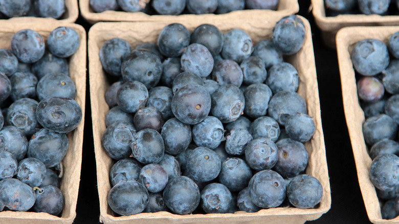 Blueberries in cardboard boxes at a local market.