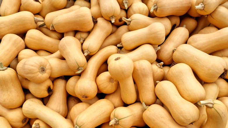 pile of butternut squash