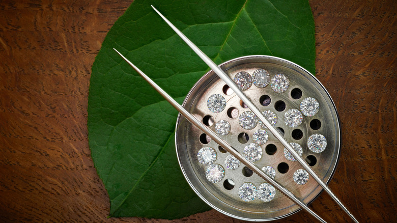 Lab grown diamonds on a leaf