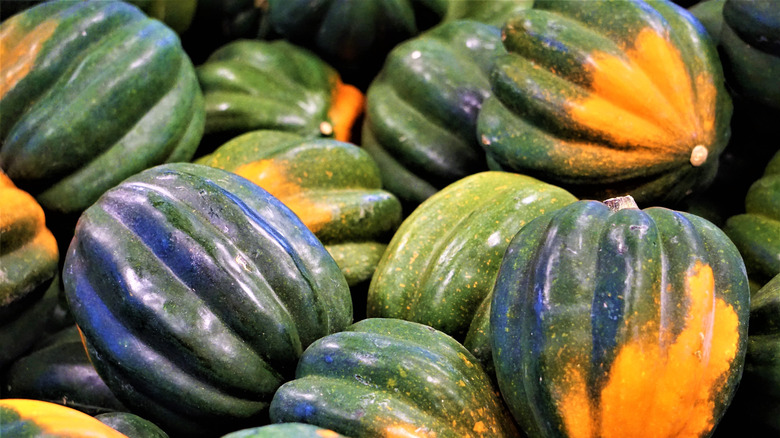 A cluster of acorn squash
