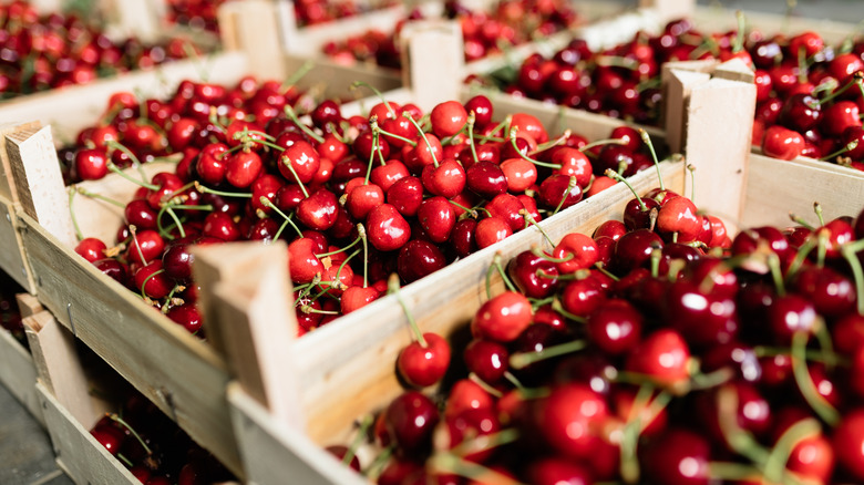Cherries stored in crates.