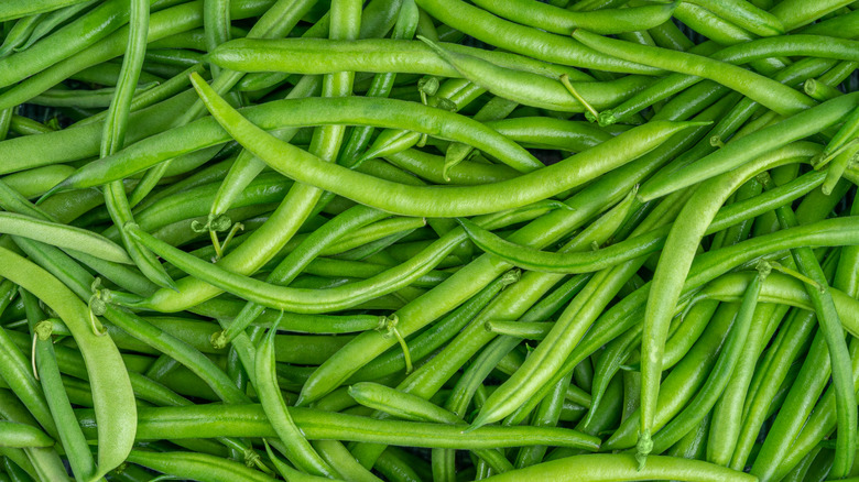 Top-down view of a pile of raw green beans