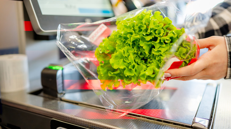 Girl At Self-Checkout Scanning Lettuce Leaves