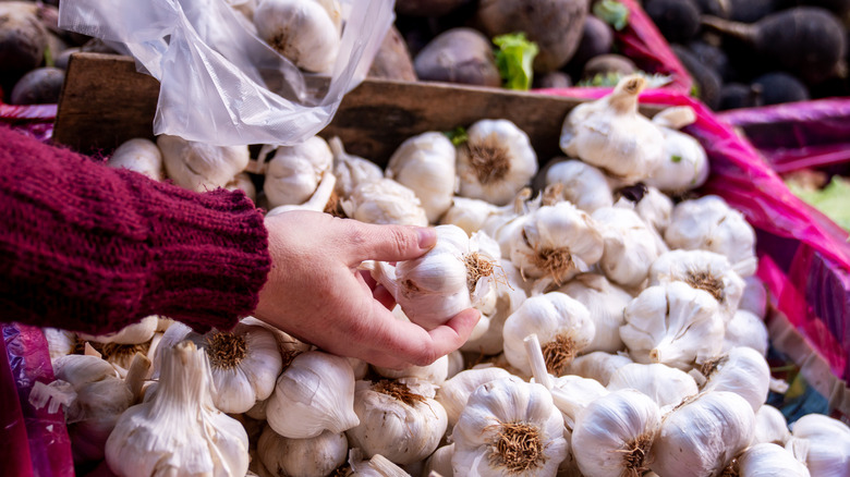 person picking garlic from the store